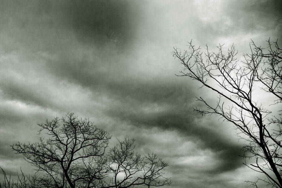 048/366 days photography season 10