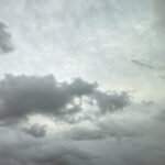 051/366 days photography season 10
