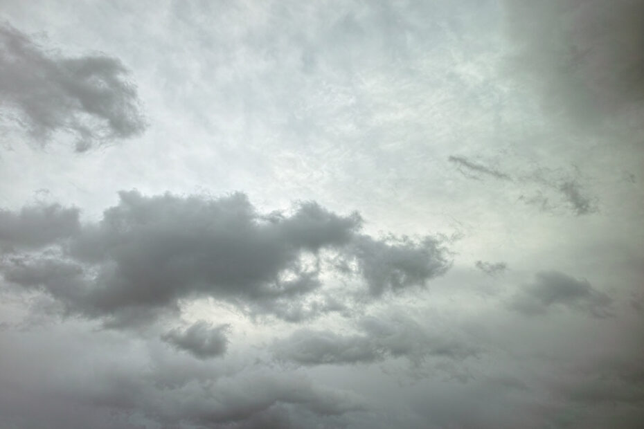 051/366 days photography season 10