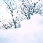 052/366 days photography season 10
