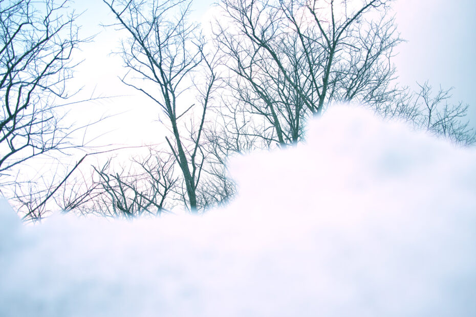 052/366 days photography season 10