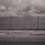 053/366 days photography season 10