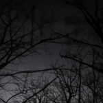 073/366 days photography season 10