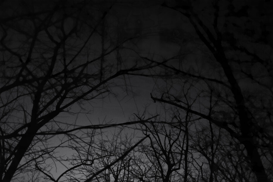 073/366 days photography season 10