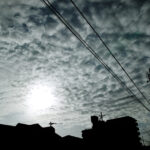 081/366 days photography season 10