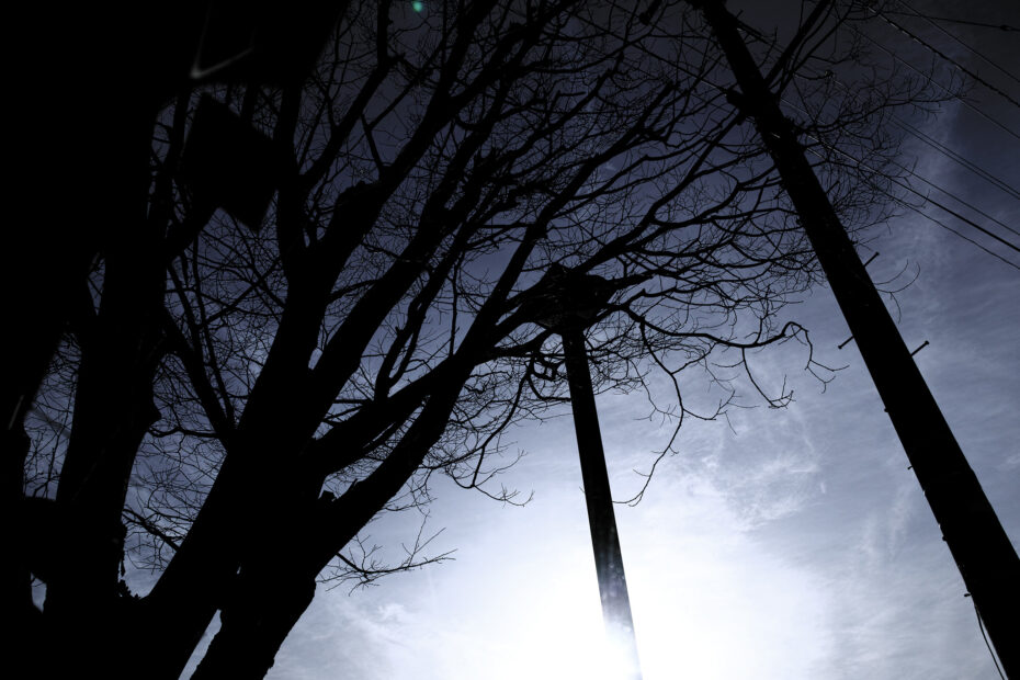 082/366 days photography season 10