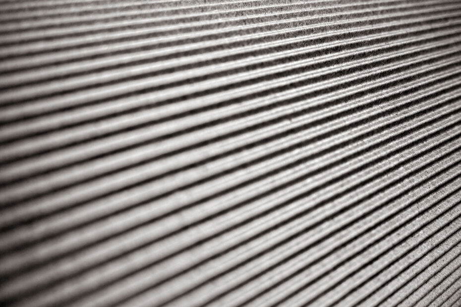 083/366 days photography season 10