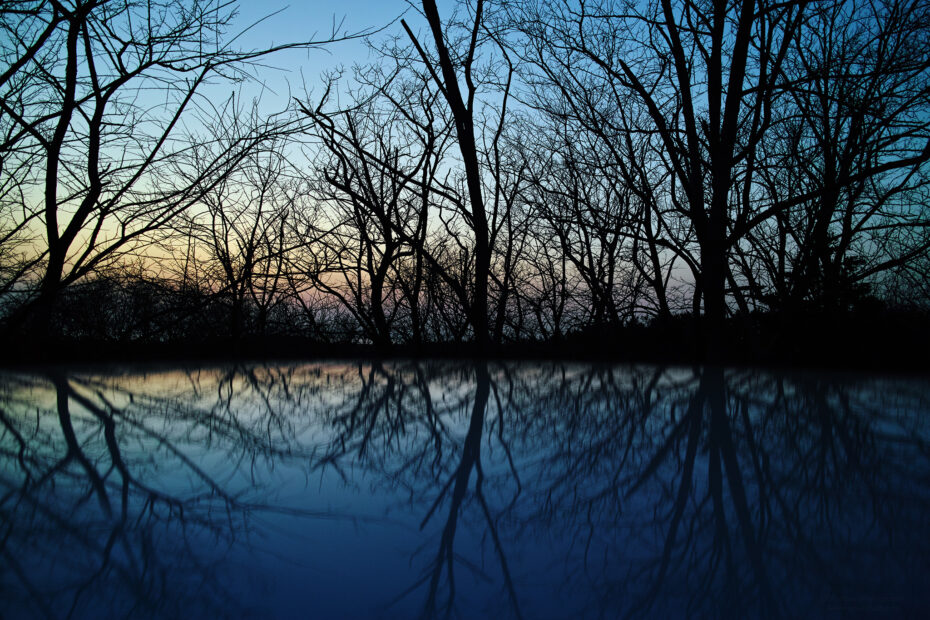 089/366 days photography season 10