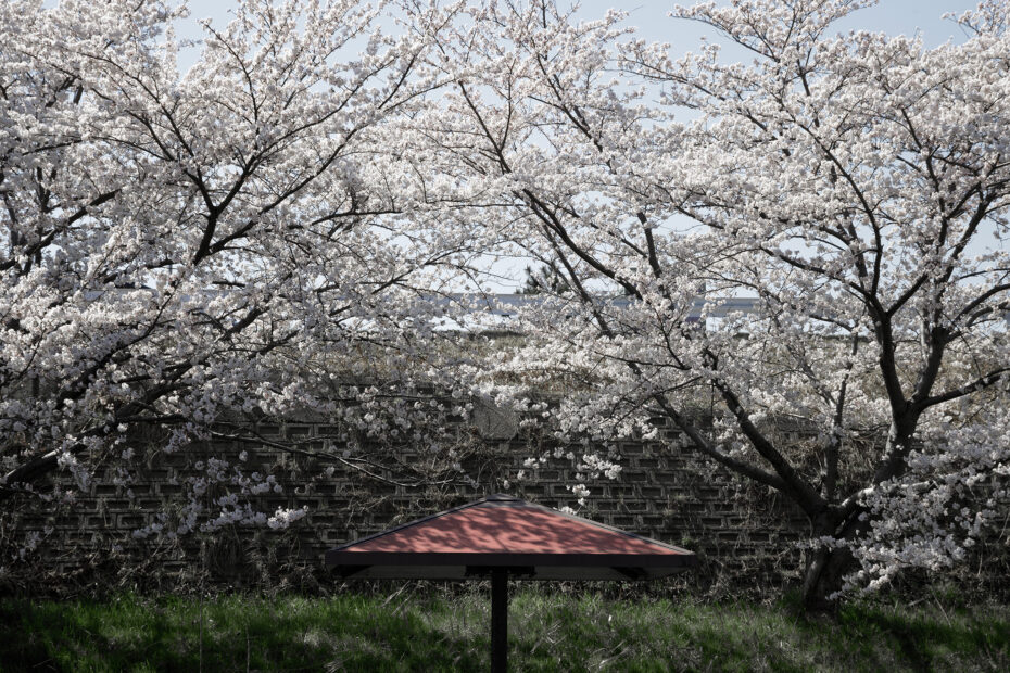 091/366 days photography season 10