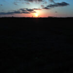 093/366 days photography season 10