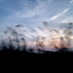 095/366 days photography season 10