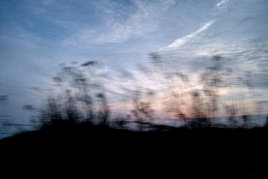 095/366 days photography season 10