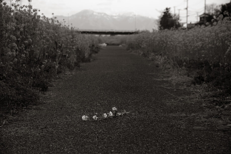 099/366 days photography season 10