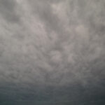 108/366 days photography season 10
