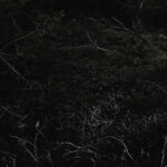115/366 days photography season 10