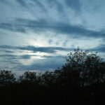 133/366 days photography season 10