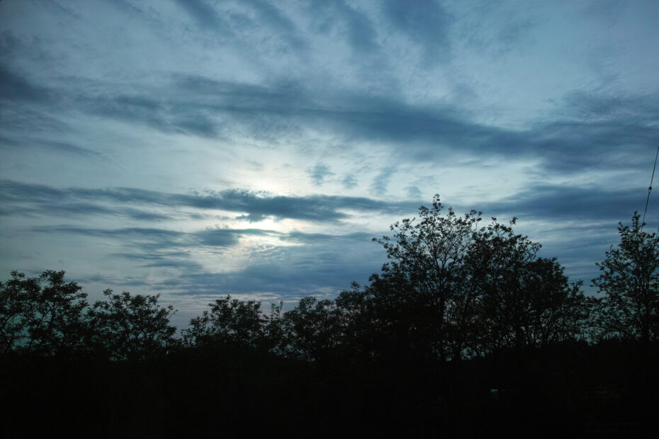 133/366 days photography season 10