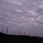 139/366 days photography season 10