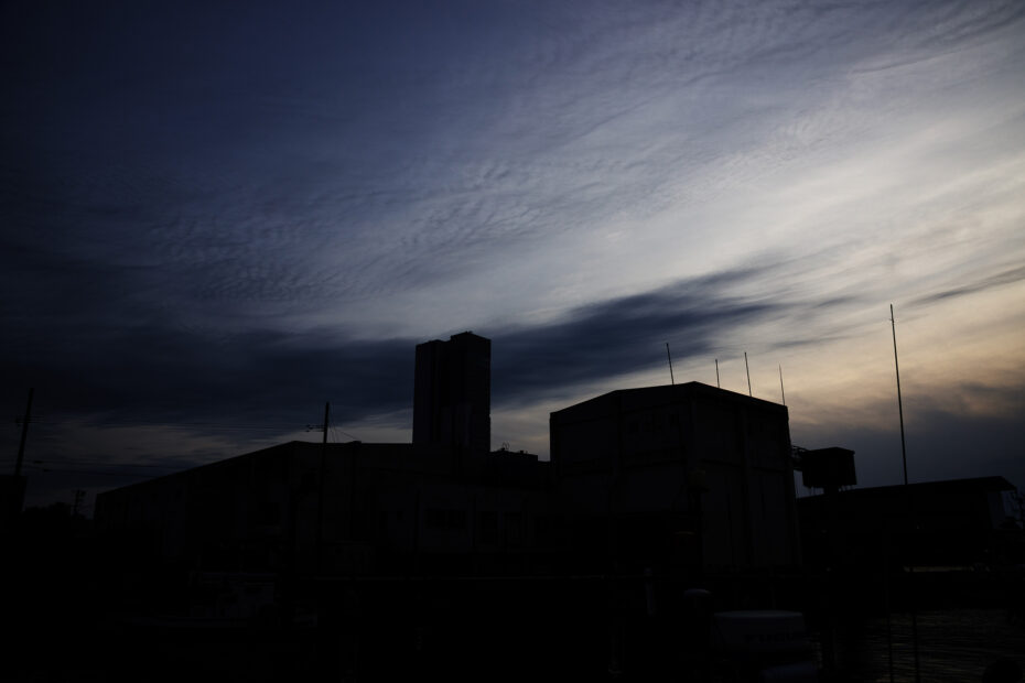 141/366 days photography season 10