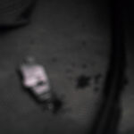 144/366 days photography season 10