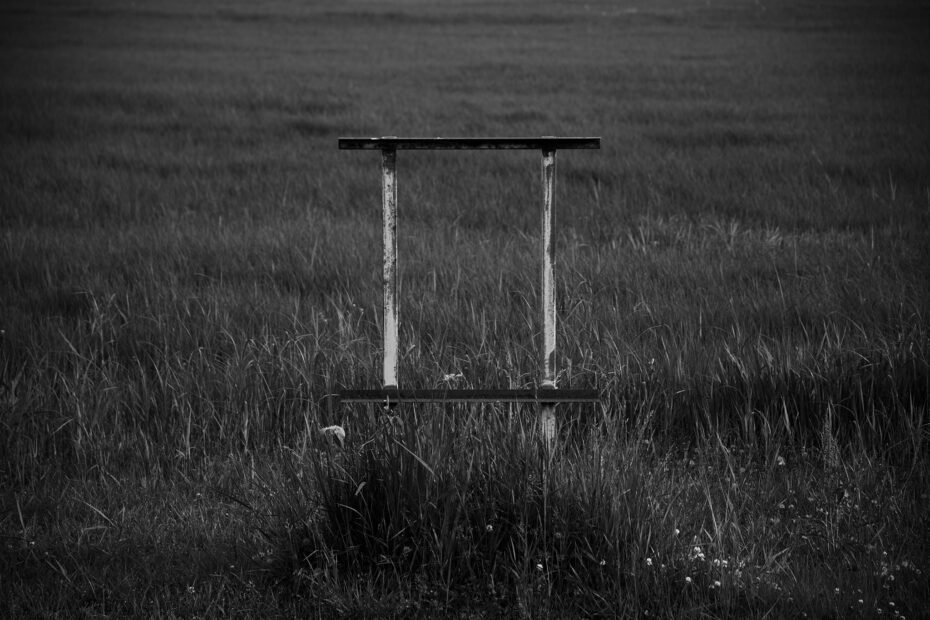147/366 days photography season 10