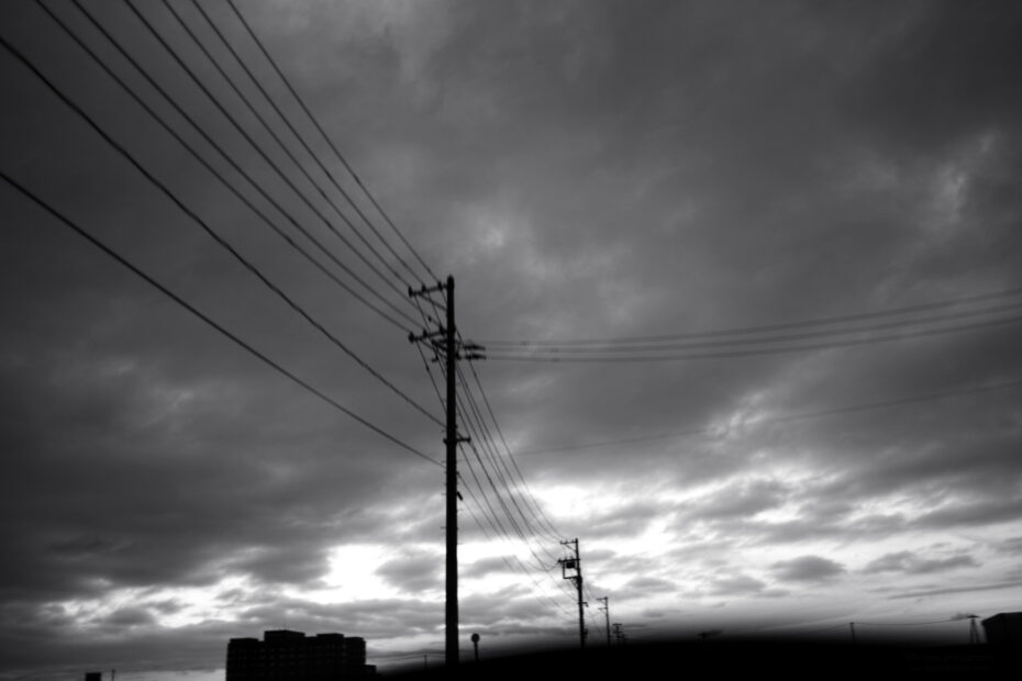 150/366 days photography season 10