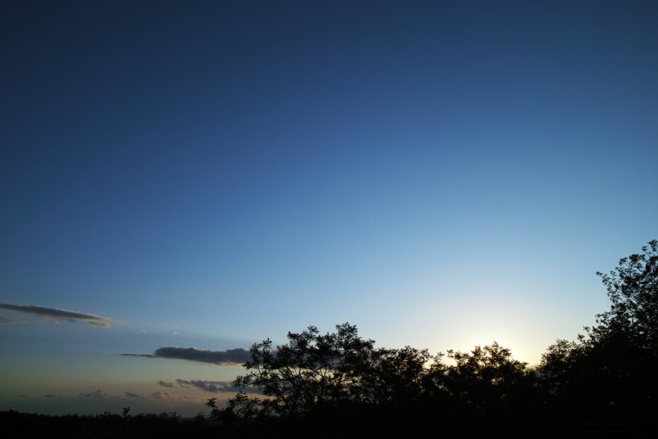 154/366 days photography season 10