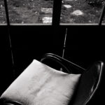 155/366 days photography season 10