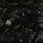 159/366 days photography season 10