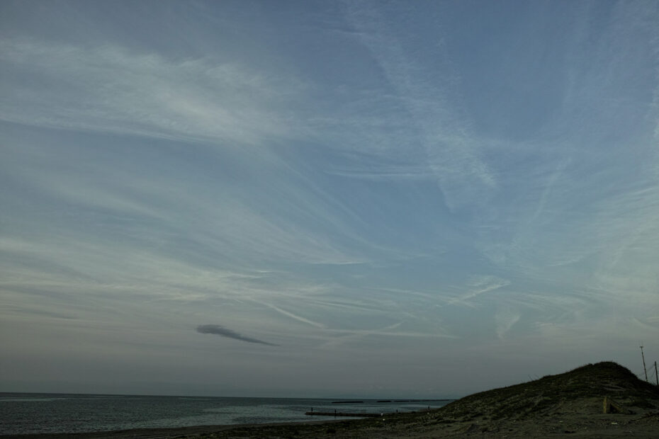 164/366 days photography season 10