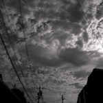172/366 days photography season 10