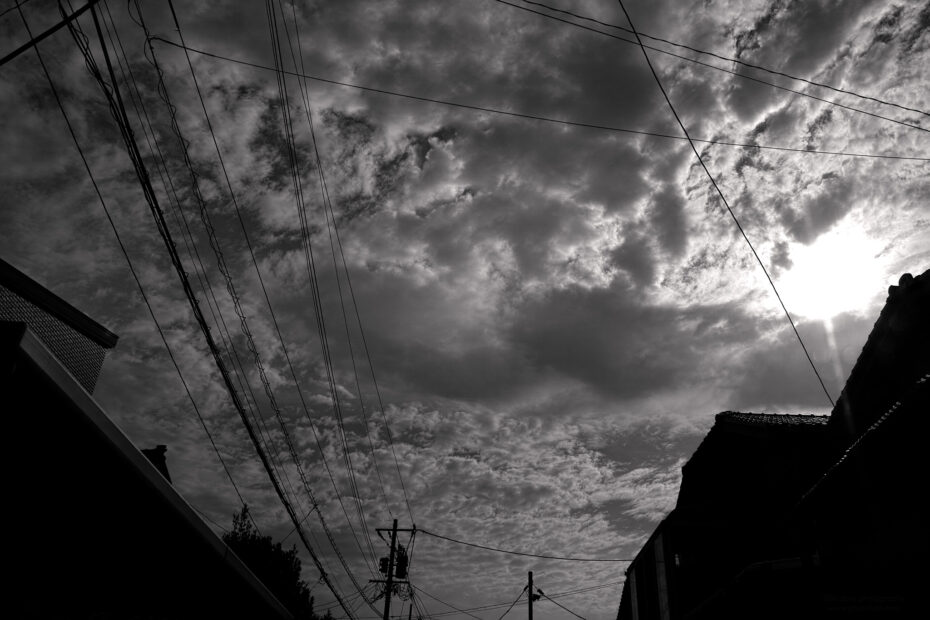 172/366 days photography season 10