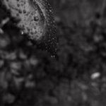 179/366 days photography season 10