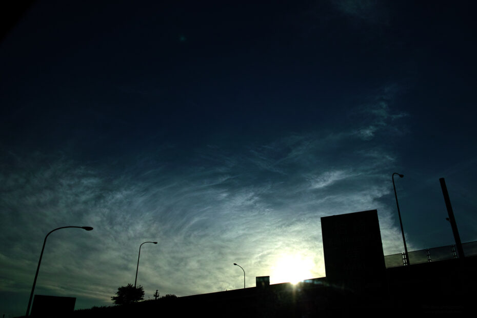 171/366 days photography season 10