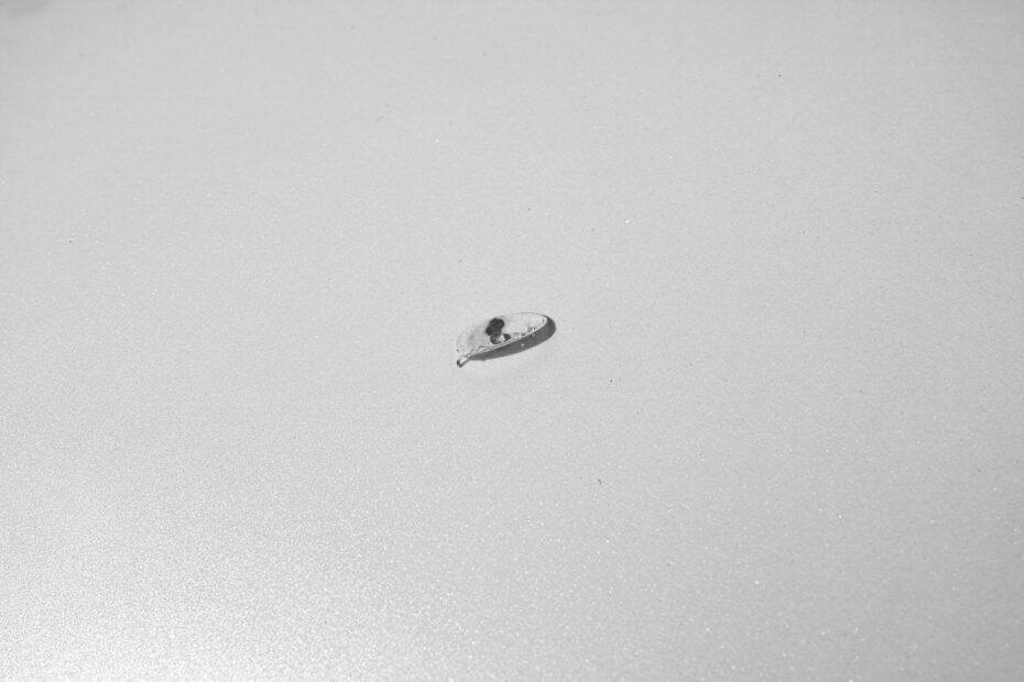 180/366 days photography season 10