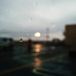 181/366 days photography season 10
