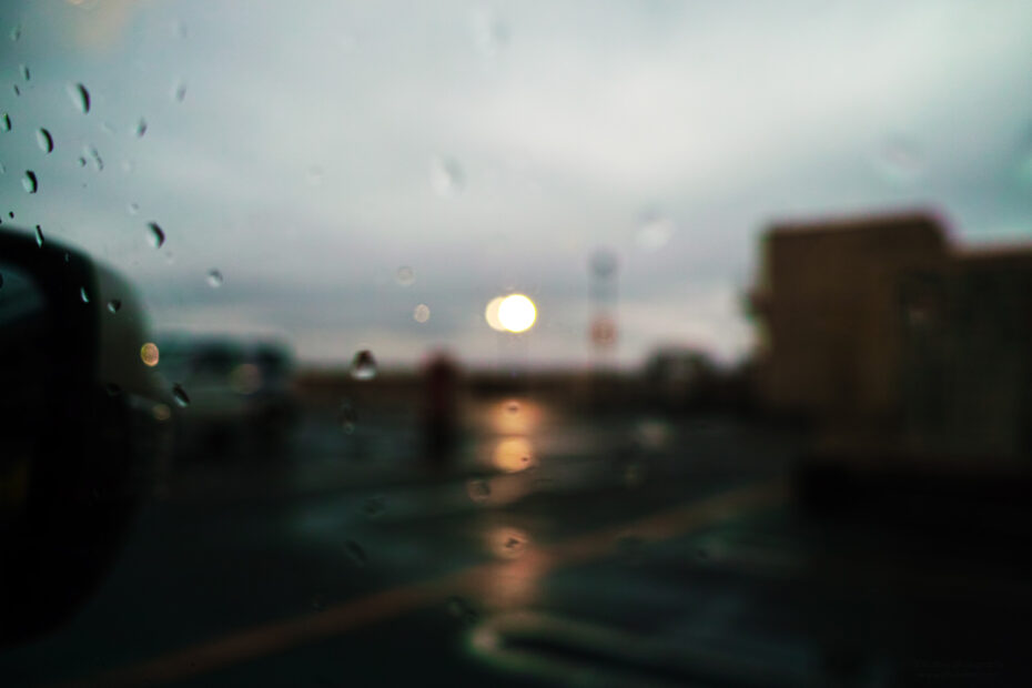 181/366 days photography season 10