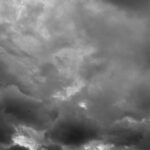 193/366 days photography season 10