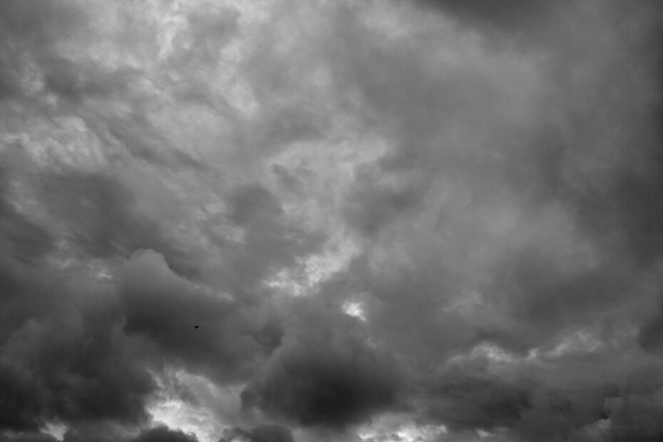 193/366 days photography season 10