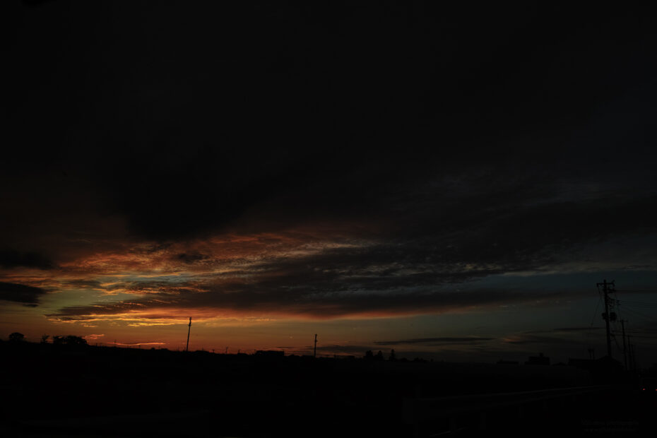 194/366 days photography season 10