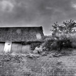 200/366 days photography season 10