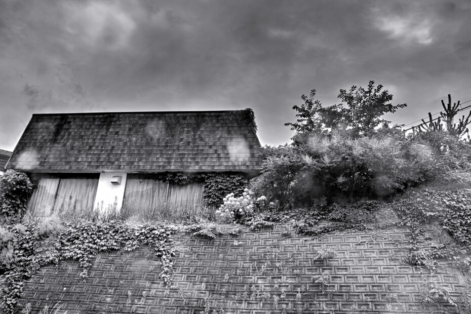 200/366 days photography season 10