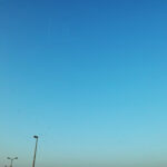 206/366 days photography season 10