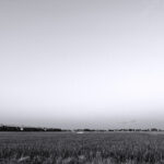 208/366 days photography season 10