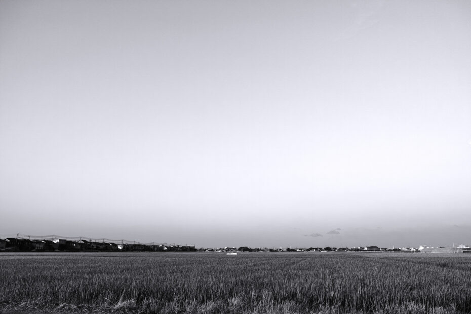 208/366 days photography season 10
