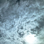 215/366 days photography season 10