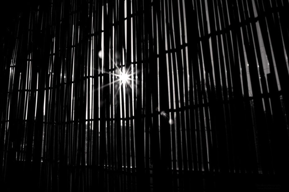 217/366 days photography season 10