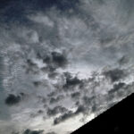 219/366 days photography season 10