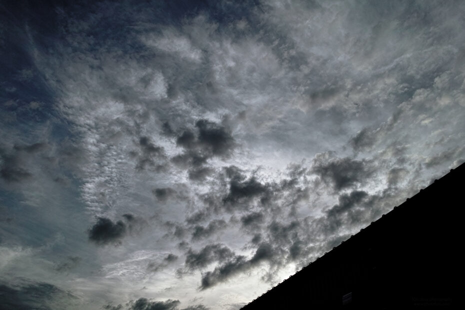 219/366 days photography season 10