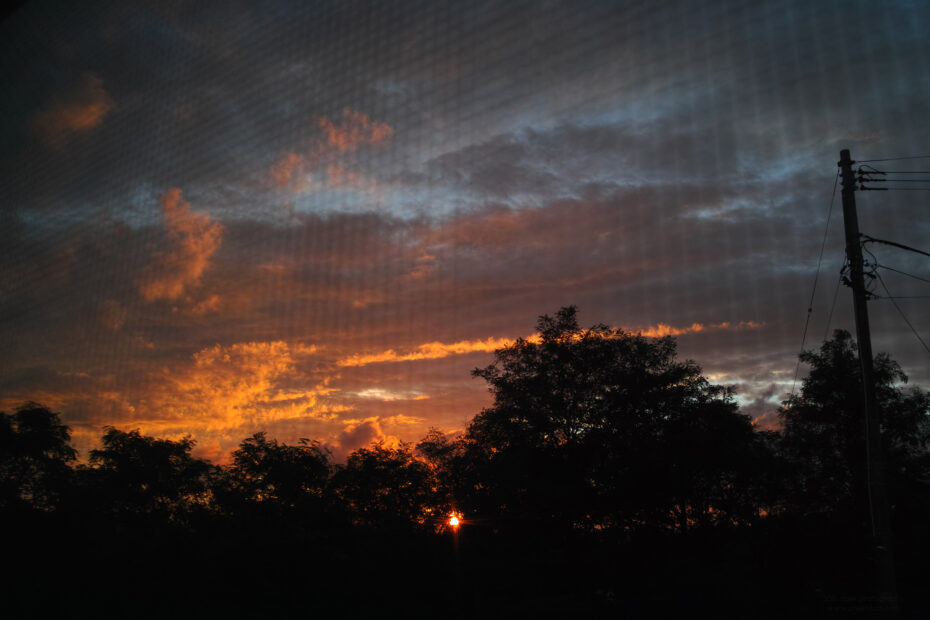 224/366 days photography season 10